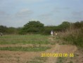/album/eiv/a409438-335603099795517-100000374892963-1047413-2000585708-n-jpg/