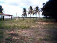 /album/eiv/a416946-335645249791302-100000374892963-1047661-1568646014-n-jpg/