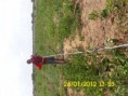 /album/eiv/a431135-335597223129438-100000374892963-1047382-1220979097-n-jpg/